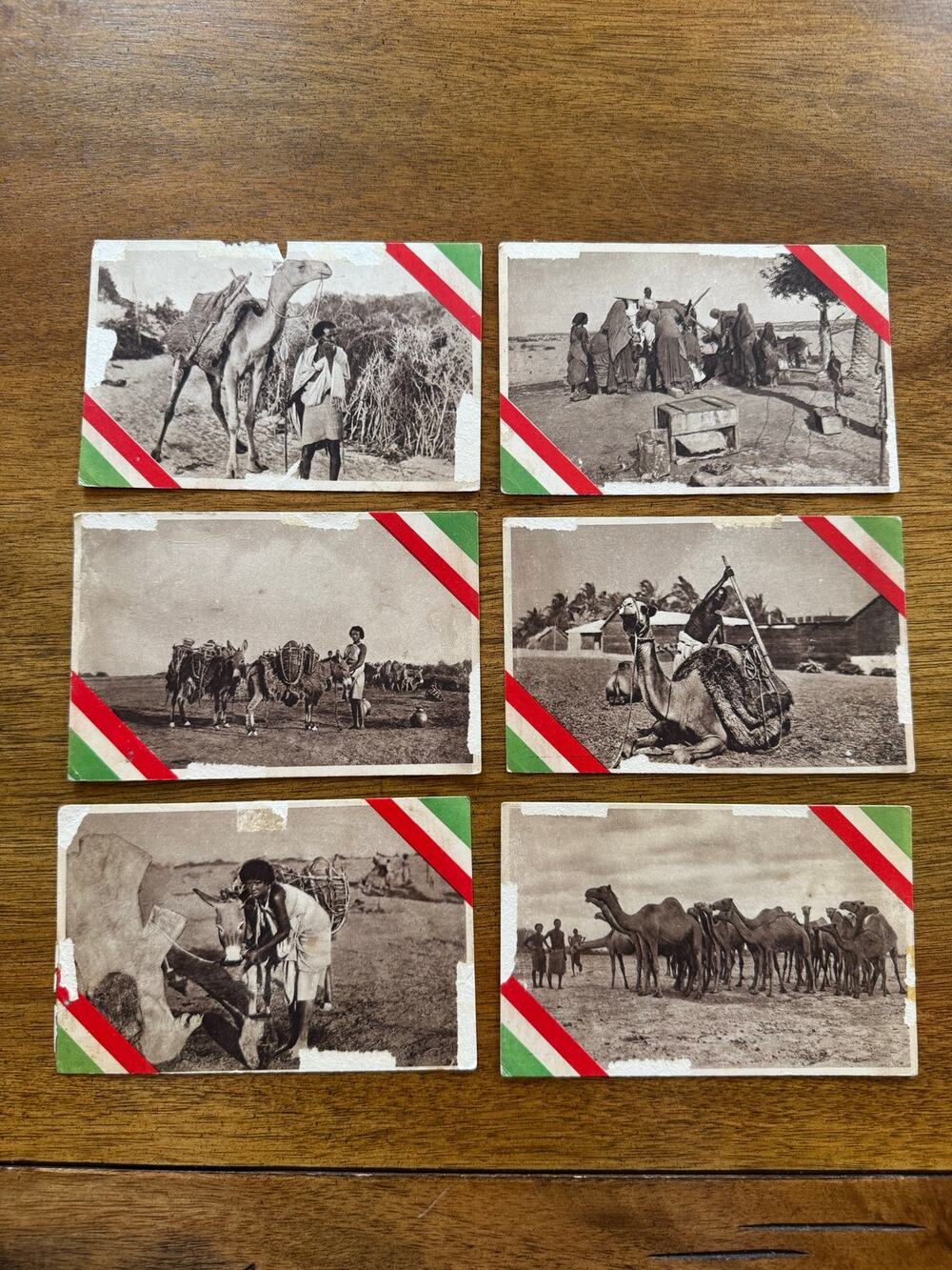 Vintage Italian Somaliland Somalia Photo Postcard Lot Camel Africa 6 Cards